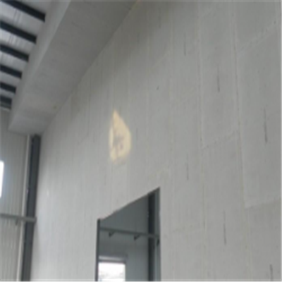 乐陵新型建筑材料掺多种工业废渣的ALC|ACC|FPS模块板材轻质隔墙板